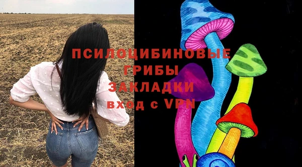 СК Абдулино